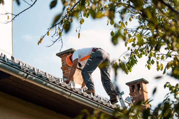 Best Roof Leak Repair  in Kohler, WI